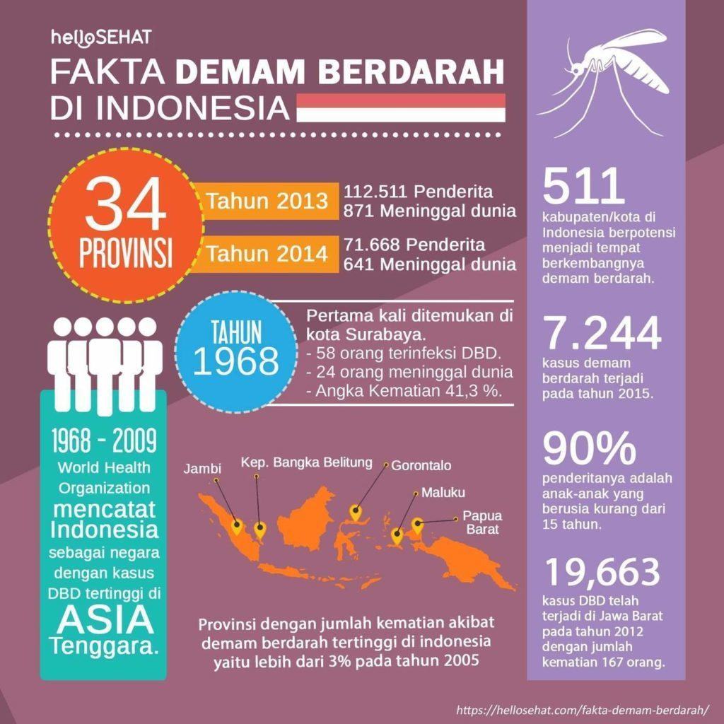 حمى الضنك hellosehat في إندونيسيا
