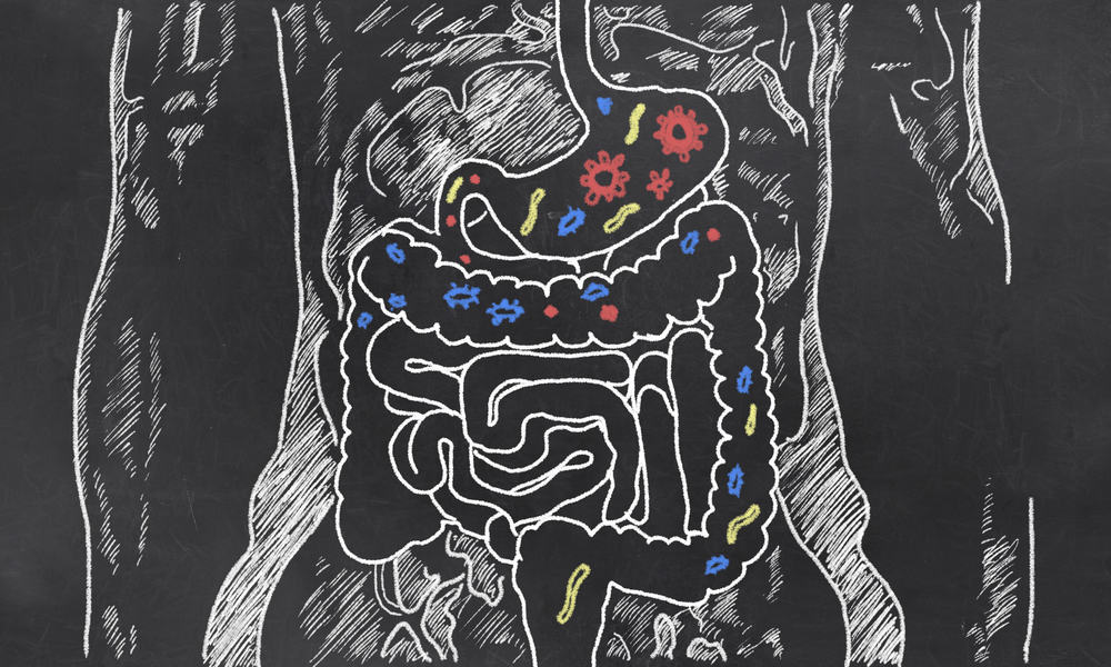 أنماط غذائية تعتمد على البكتيريا في الأمعاء
